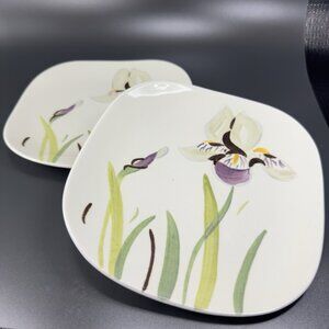 Redwing Pottery Red Wing Hand Painted Iris Plate Dish 7inch Plates Dishes Set 2